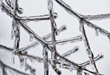 К Владивостоку движется фронт: синоптики предупредили об опасных явлениях