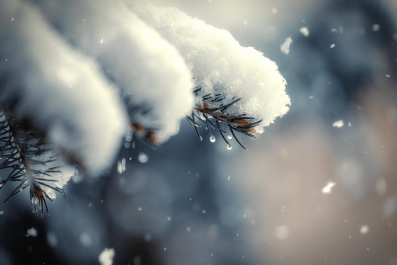 «Температуры достигнут нормы». Известный синоптик сказал, когда ожидать нормализации погоды