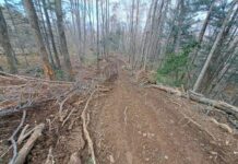 Известный на все Приморье депутат предложил упразднять заповедники