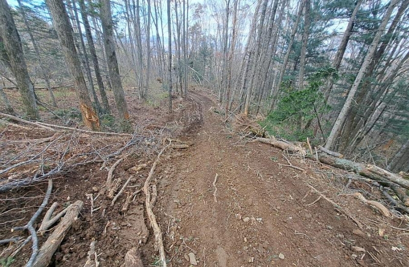 Известный на все Приморье депутат предложил упразднять заповедники