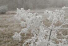 Синоптики: морозы и снег принесет новая рабочая неделя