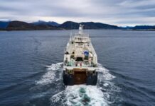 Экспорт минтая могут ограничить