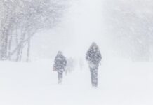 Не только сильный снегопад. В МЧС сказали, к чем готовится 12 и 13 марта