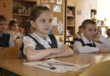 Российские школы проверят и выдадут соответствующий статус – инициатива Рособрнадзора