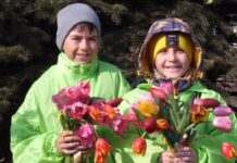 Волонтёры Фонда «Восточный Порт» поздравили жительниц Врангеля сотнями тюльпанов