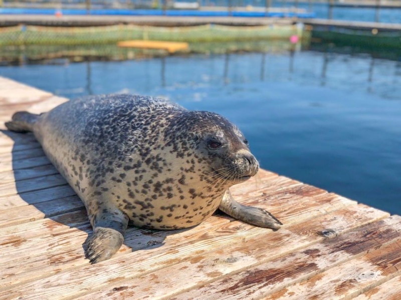 «Восточный Порт» открыл 9-й сезон «Экомарафона» образовательными лекциями для учащихся