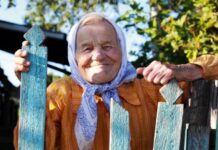 Дачников предупредили: за это действие заплатите до 5 000 рублей