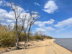 МТС обеспечила цифровыми сервисами «рыболовную столицу» Приморья