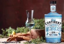 Как выбрать и купить хороший джин?