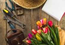 Сколько выходных в мае? Депутаты предложили продлить праздники