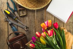 Сколько выходных в мае? Депутаты предложили продлить праздники