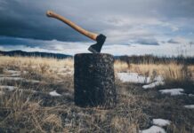 Власти вырубили лесопромышленникам новые ставки