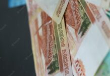 До 200 тыс. рублей: огромные штрафы грозят владельцам домашних животных