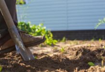 Лучше этого не делать. Садоводов предупредили об «опасных» работах