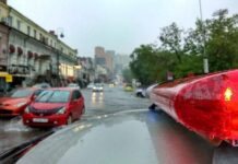 Водители будут обязаны. С 1 июня ГИБДД начнет предъявлять новые требования