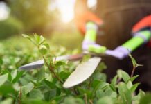 Запрещено – и точка. У каких дачников могут изъять участок?