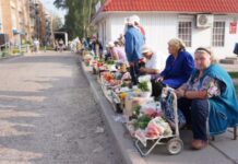 Оштрафуют на 2 500 рублей. Дачников предупредили о продаже выращенной продукции