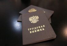 Вот и все. Трудоустройство подростков больше не станет проблемой