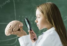 Нейрологопедический центр: решение проблем, связанных с речью и развитием