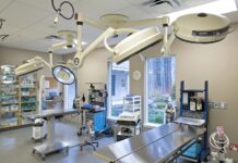 Самое востребованное ветеринарное медицинское оборудование: инновации и технологии для заботы о животных