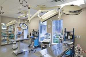 Самое востребованное ветеринарное медицинское оборудование: инновации и технологии для заботы о животных