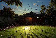 “Марафет”: Очищаем дом от Мошек