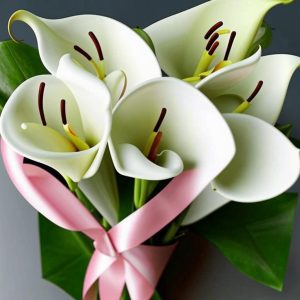 Самые красивые сорта лилий