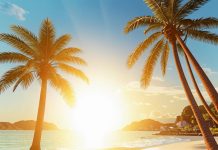 Отдых в Крыму