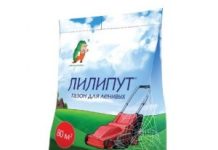 Как купить идеальный газон для дачи в Москве: советы для садоводов