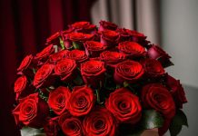 Как ухаживать за срезанными розами?