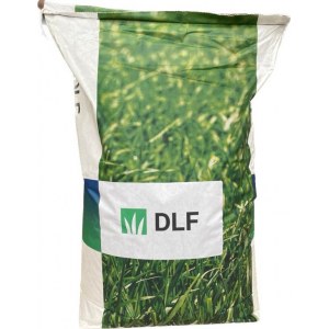 Как купить идеальный газон для дачи в Москве: советы для садоводов