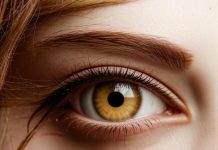 Как делается пересадка волос на бровях?