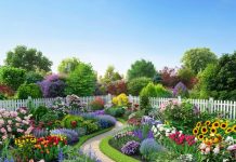 Выращивание овощей на даче: секреты богатого урожая