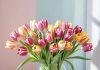 Как продлить жизнь букета тюльпанов