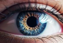 Контактные линзы bausch lomb soflens 59 и их основные преимущества