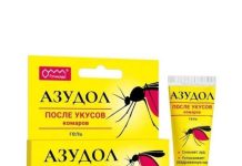 Почему не стоит игнорировать укусы насекомых, особенно у детей