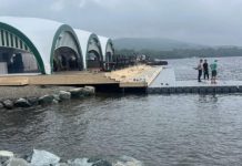 Известные на весь Владивосток бизнесмены решили освоить остров Елена с новой компанией