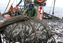 Китай обогатил российских рыбаков