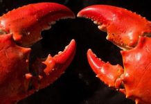 Крупный в Приморье рыбколхоз попал в клешни госкомпании