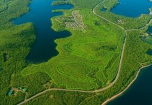 Московского девелопера «разыграли» с Русским островом. Кому достались гектары земли?