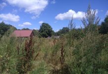 Собственность под угрозой: земельные участки начали отбирать у владельцев