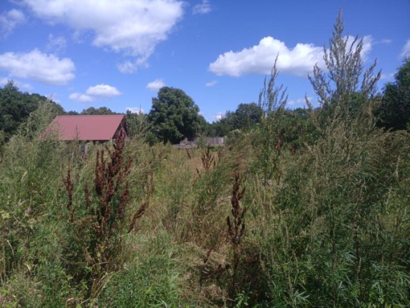 Собственность под угрозой: земельные участки начали отбирать у владельцев