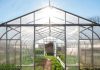 Теплицы из поликарбоната: выбор современных аграриев