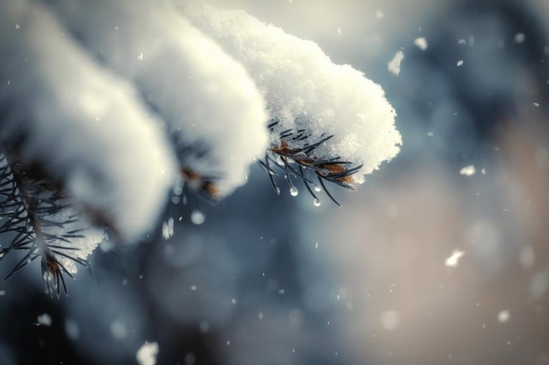 «До очень сильных снегопадов». Известный синоптик рассказал, когда ждать сюрпризы от природы