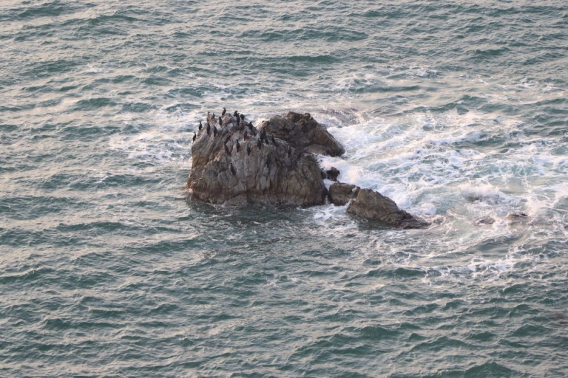 Долина Атлантов, мыс Пассека и пещера Пржевальского: виды, от которых захватывает дух