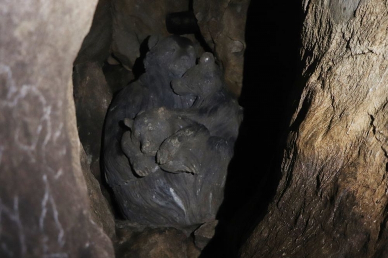 Долина Атлантов, мыс Пассека и пещера Пржевальского: виды, от которых захватывает дух