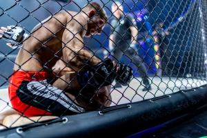 FESCO поддержала международный турнир по единоборствам