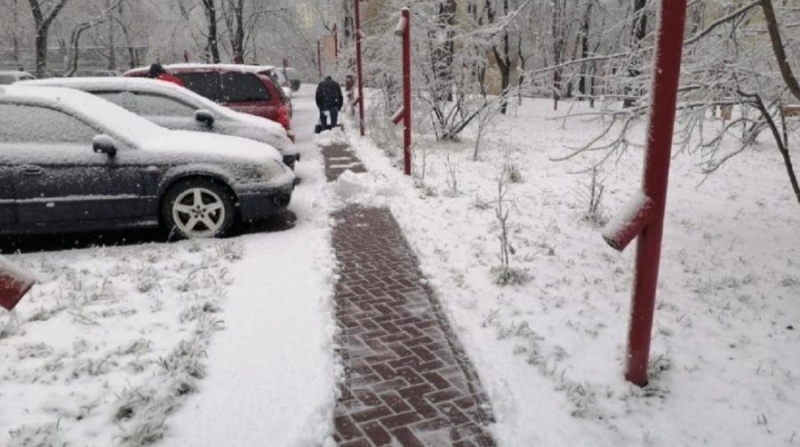 Константин Шестаков: обязанность каждого – убрать свою территорию