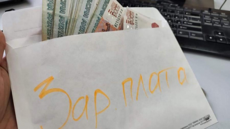 Минтруд объяснил, когда глава компании не может выплачивать себе зарплату