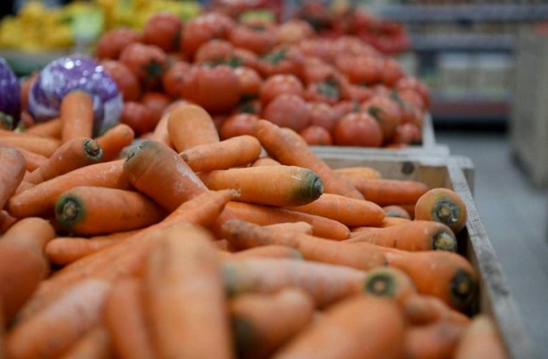 На Дальнем Востоке овощи будут выращивать с учетом природных катаклизмов